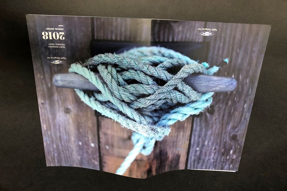 Ngati Ranginui Annual Report 2018