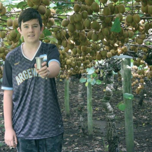 Yr 8 Student Invents Quick Kiwifruit Peeler