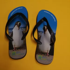 WebsiteBragsMar2020_Elm_Wildlife_Tours_Jandals