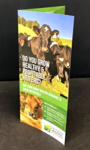 Pure Print Tauranga Printing_NZ Grazing Co Brochure.jpg