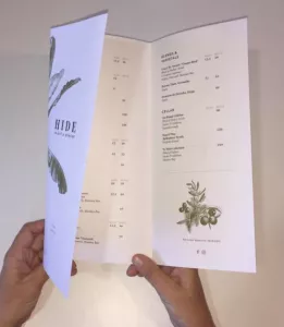 Hide Menu.jpg
